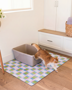 Artisan Spring