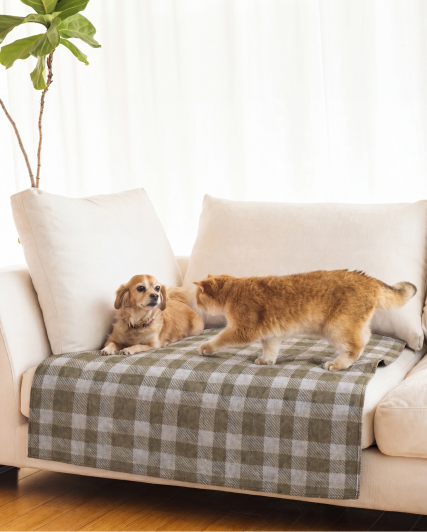 Woodland Plaid